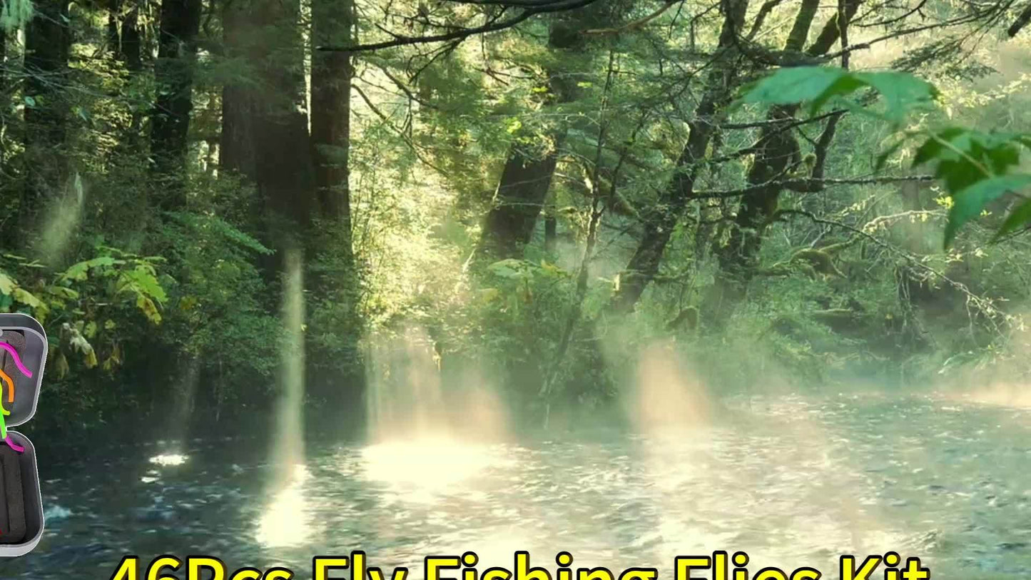 Fly Fishing Flies with Fly Box Kit for Bass Trout Salmon-2 Box Bundle (Total 70pcs Flies) Hand-Tied Dry Flies, Nymphs, Scud Streamers Lures Kit with Hooks