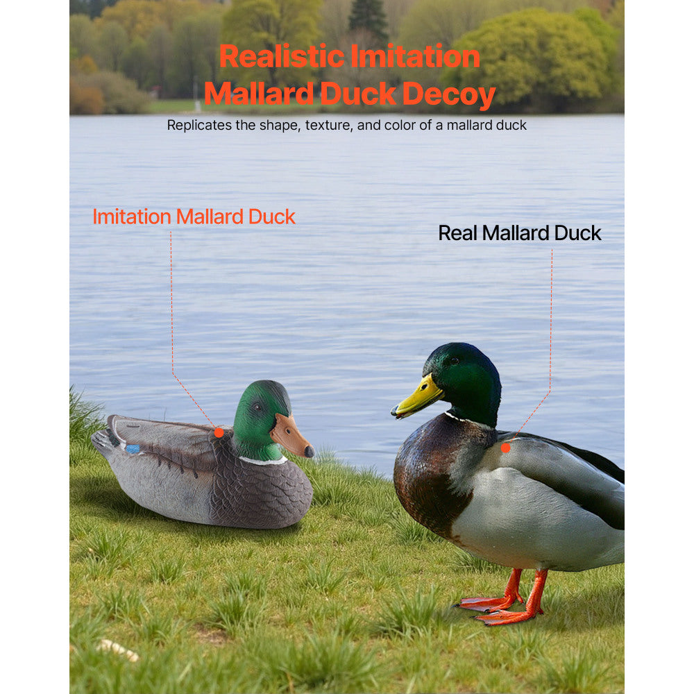 RIDFY 6Pack Realistic Floating Duck Decoys For Hunting