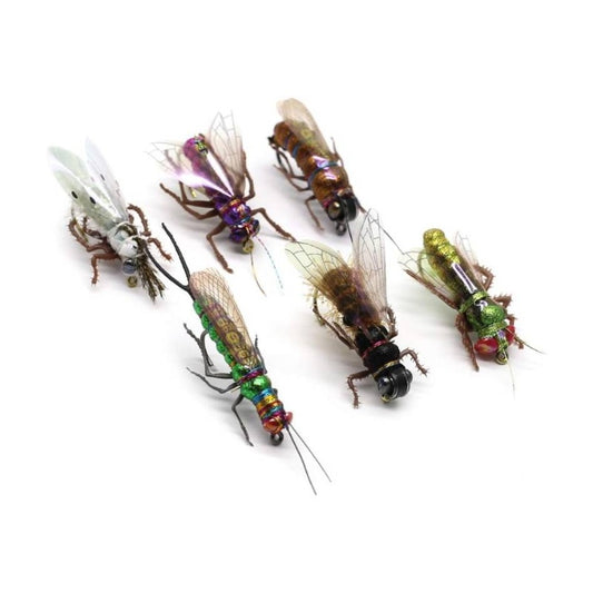 All-Skill Level Trout Fly Fishing Lures Assortment with Fly Box - Dry/Wet/Nymph Flies Suitable for Freshwater/Saltwater, 12/16/18/22/36 Hatches, Trout Fly Patterns for River, Lake, Ocean Fishing