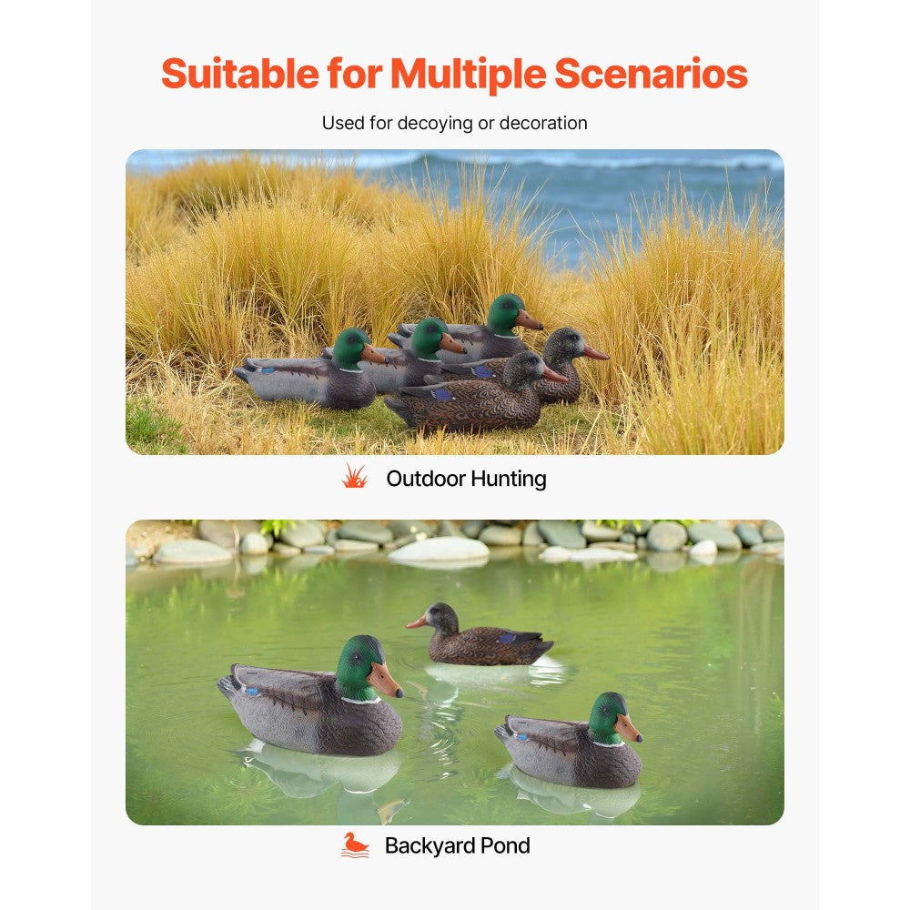 RIDFY 6Pack Realistic Floating Duck Decoys For Hunting