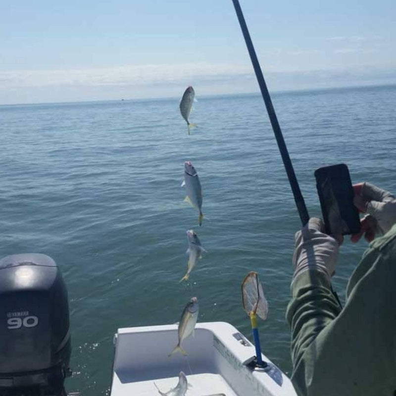 Seaguar S650E #6 Fluorocarbon Sabiki Rig - 6-Hook Pre-Assembled Saltwater/Freshwater Fishing Lure with Color-Changing Invisible Lines, Heavy/Durable for Bass, Trout, Pike, Walleye, Catfish, Minnow Baits (Compatible with Sabik