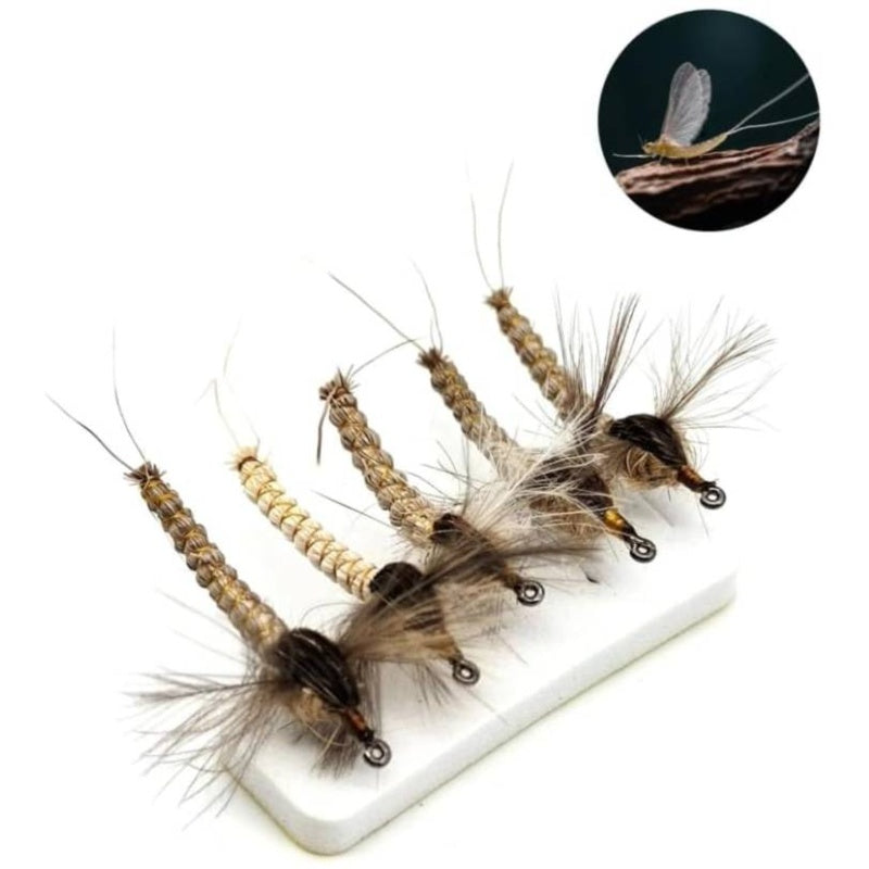 Pack of 5 Deer Hair Dry Fly Fishing Lure - Mayfly Wing Saltwater/Brackish water fly suitable for Trout, Bass, Salmon with #10 #12 #14 Hooks - for river, sea, fly-tying (Catchable Fly Lure)