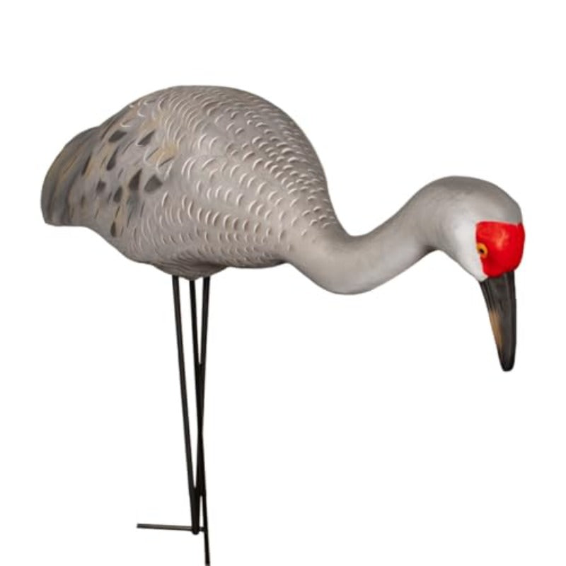 Final Approach Live Full Body Sandhill Crane Decoy Feeders