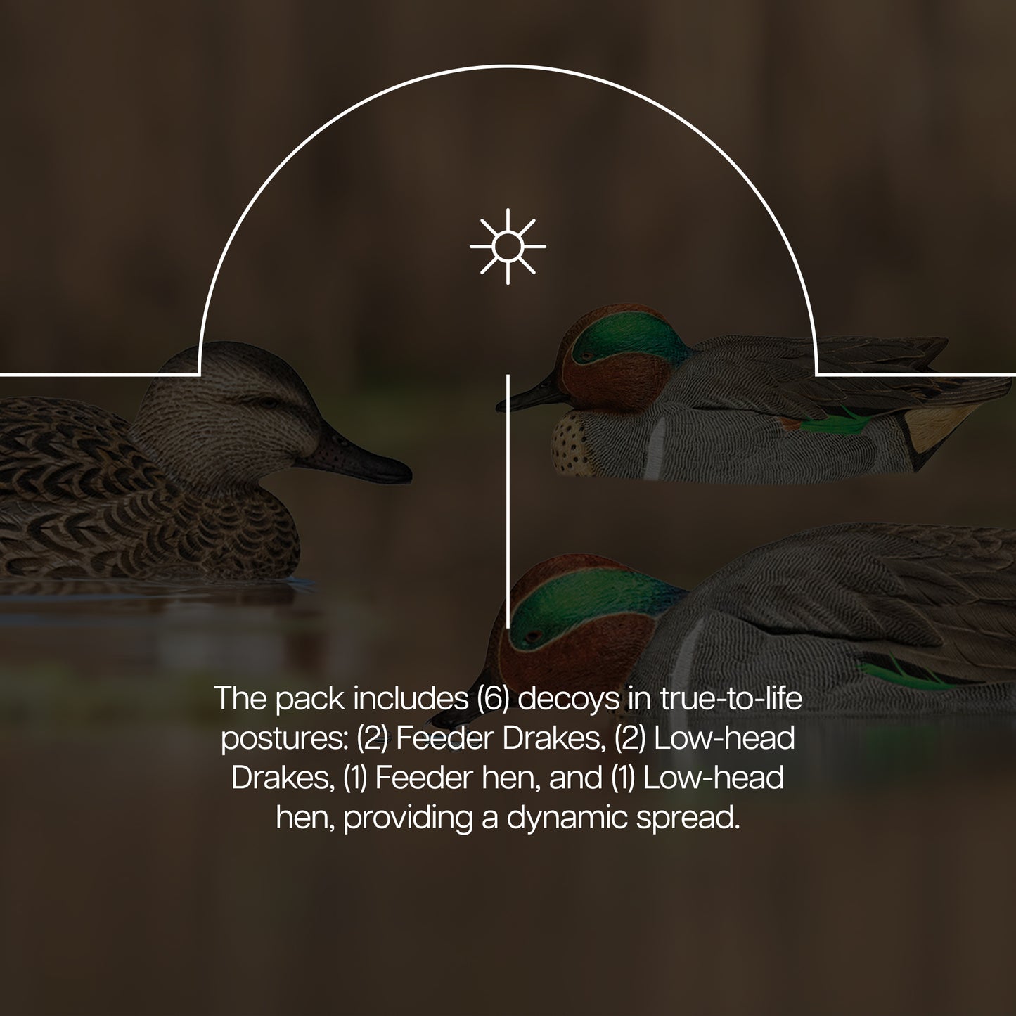 AVIAN-X Top Flight Open Water Mallard Duck Decoys 6 Pack