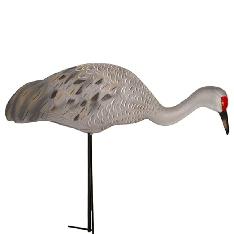 Final Approach Live Full Body Sandhill Crane Decoy Feeders