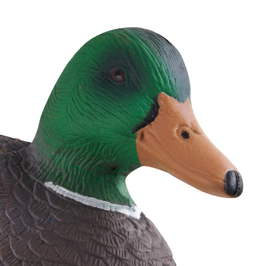 RIDFY 6Pack Realistic Floating Duck Decoys For Hunting