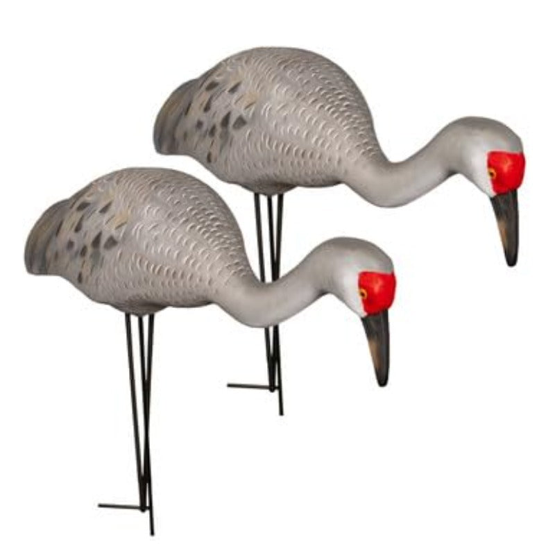 Final Approach Live Full Body Sandhill Crane Decoy Feeders
