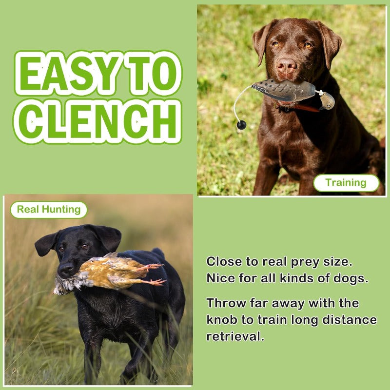 Archerest Dead Duck Pheasant Training Dummy Bumper Toy