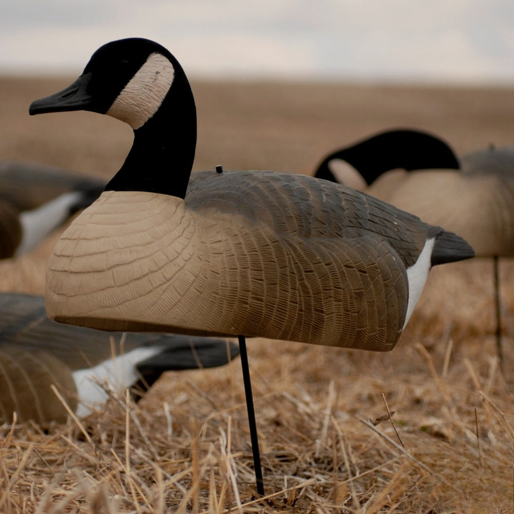 Durable Shell Decoys for Outdoor Wildlife Control 12 Pack