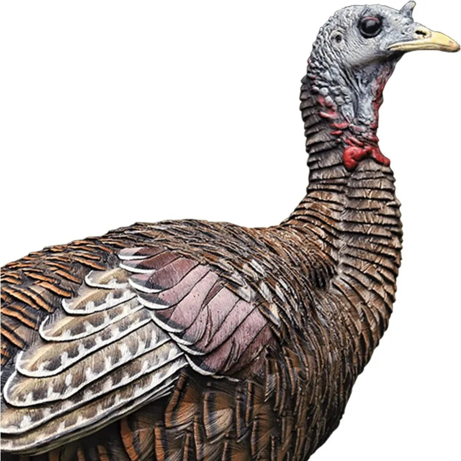 AVX Lookout Hen Turkey Decoy Durable Realistic Collapsible Carry Bag