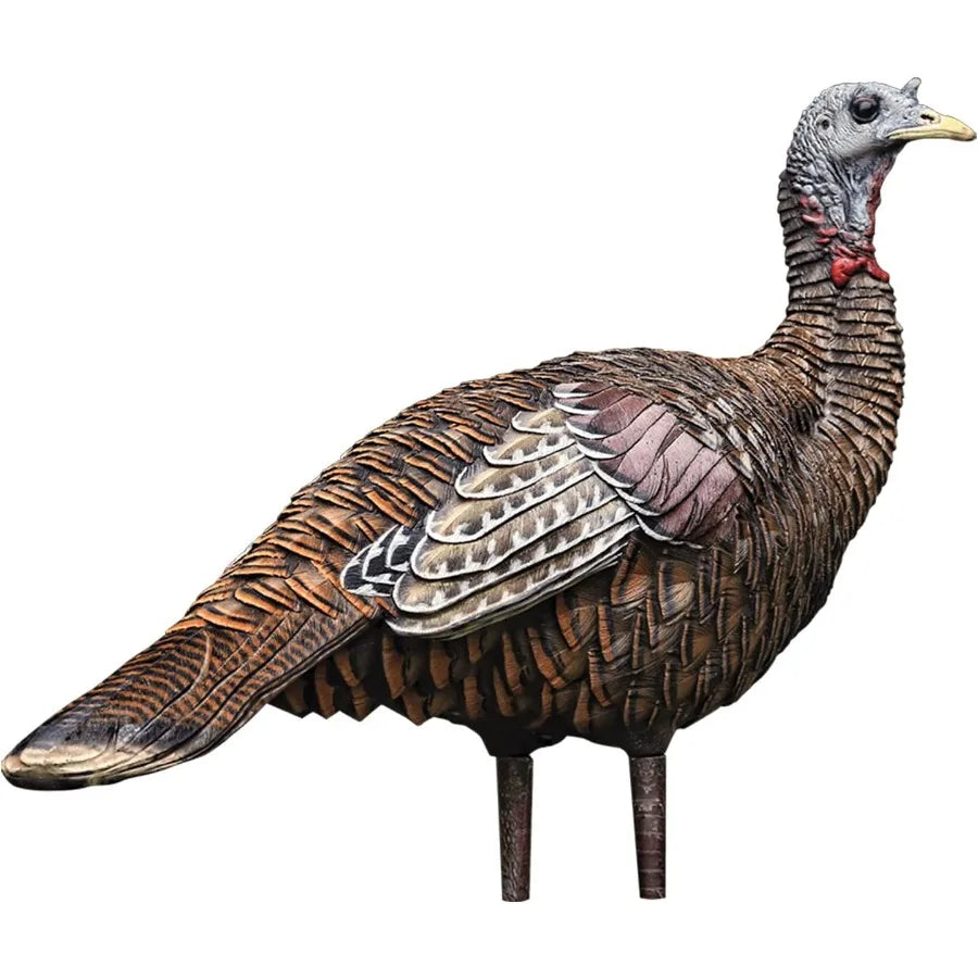 AVX Lookout Hen Turkey Decoy Durable Realistic Collapsible Carry Bag