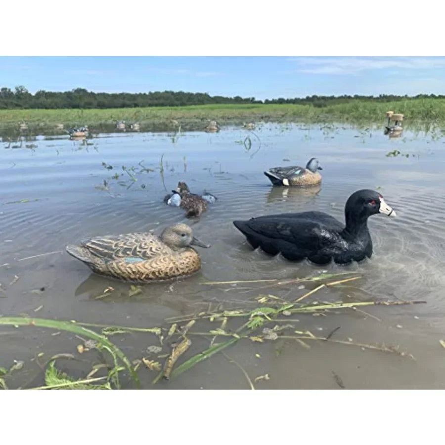 MOJO Outdoors Coot Confidence Decoys Pack 6 For Duck Hunting