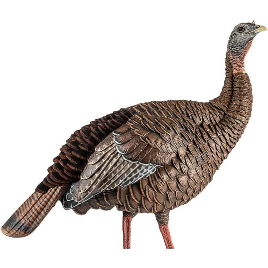 Avian X HDR Hen Turkey Decoy Realistic Standing Hunting