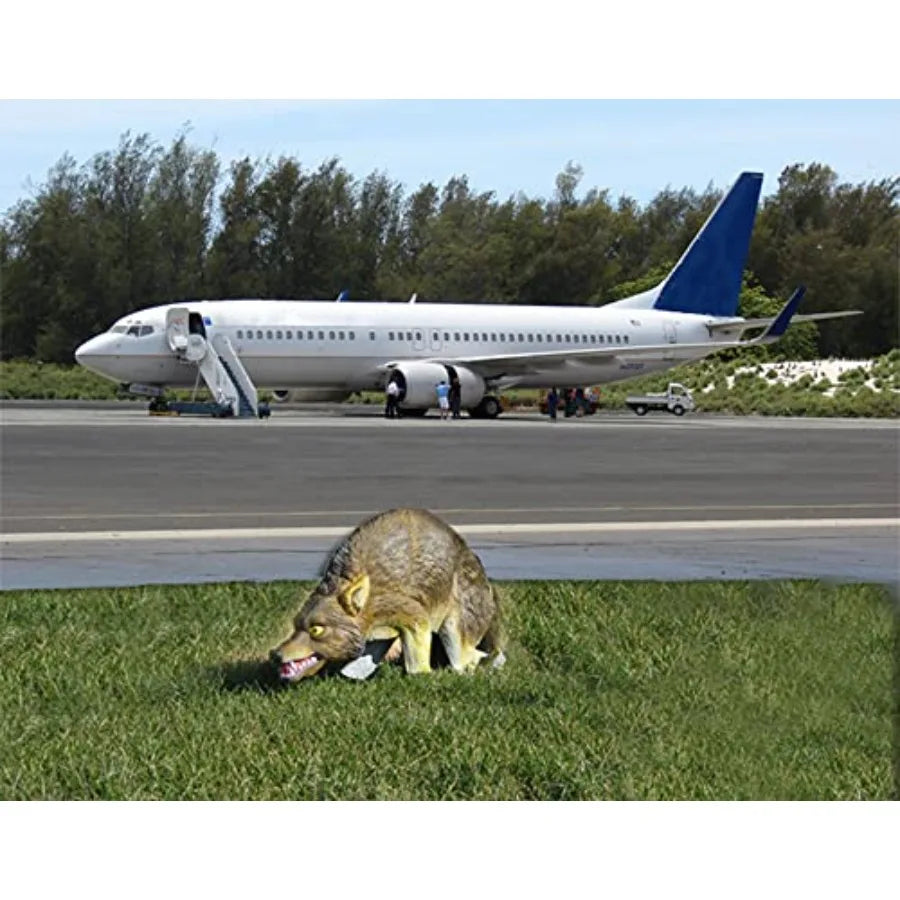 High Concerned Chemical 3D Coyote Decoy With Moving Tail And Realistic Markings