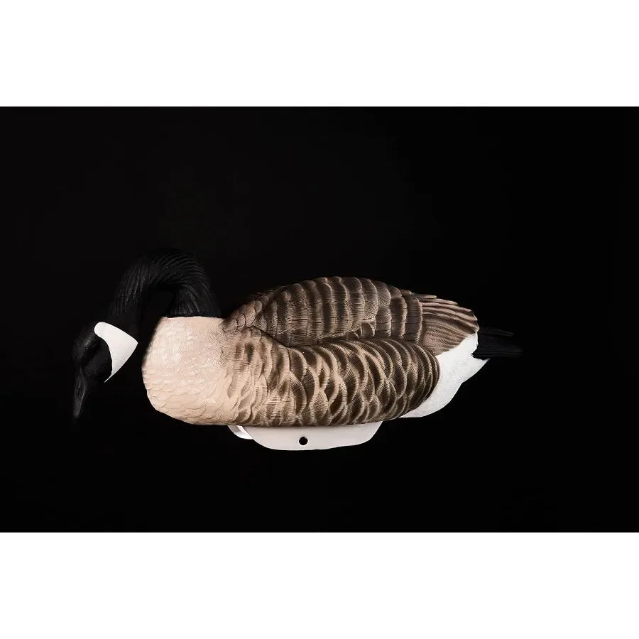 Heyday Canada Goose Floater Hunting Decoys 4 Pack HydroFoam