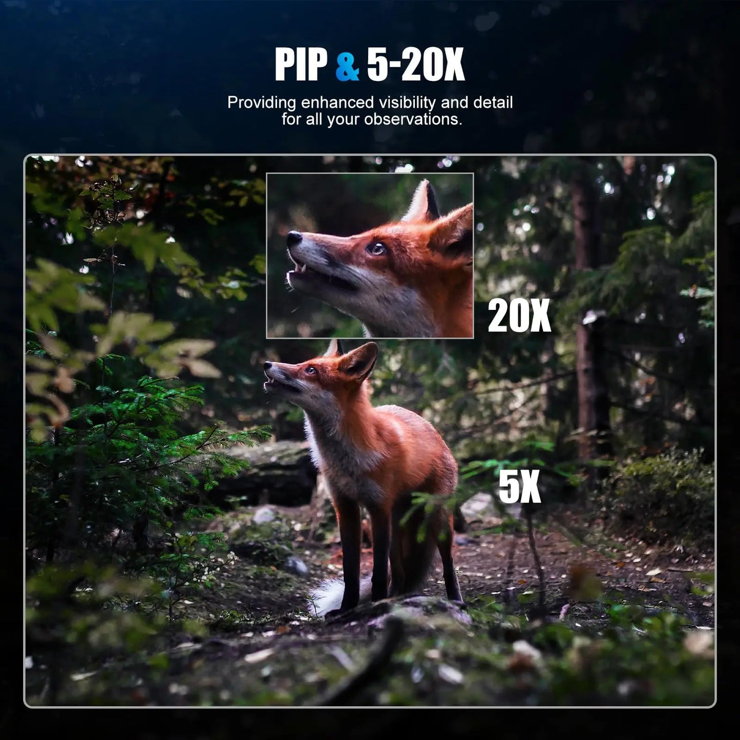 Kaalee Digital Night Vision Scope 2560x1920 HighResolution LongRange FieldGradePro