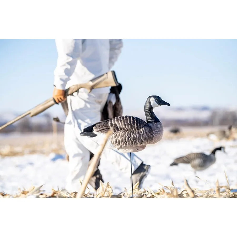 Heyday Canada Goose Floater Hunting Decoys 4 Pack HydroFoam