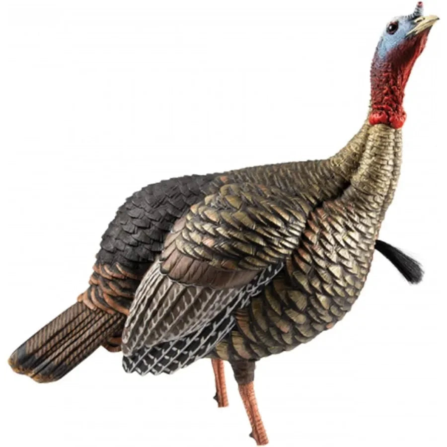 Avian-X HDR Jake Turkey Decoy with 2 Removable Heads