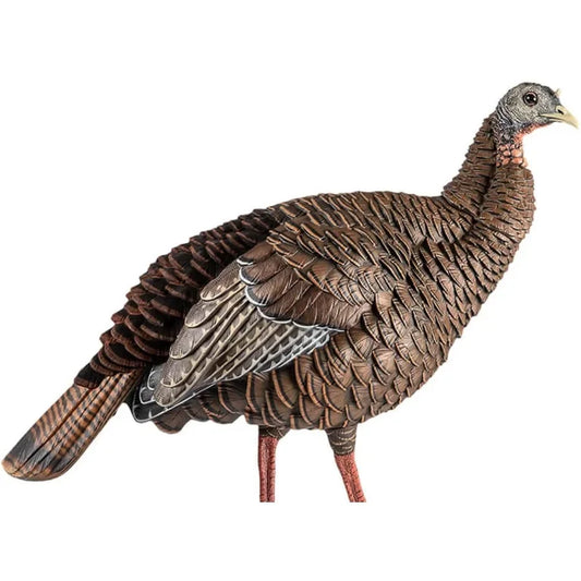 Avian X HDR Hen Turkey Decoy Realistic Standing Hunting