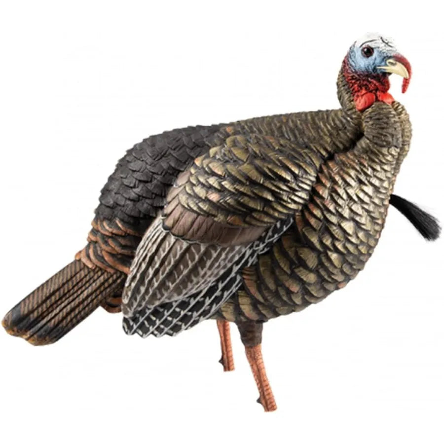 Avian-X HDR Jake Turkey Decoy with 2 Removable Heads