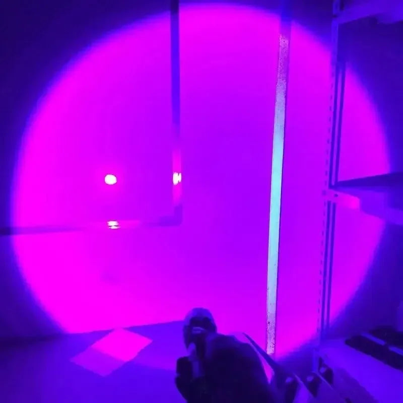 USB Rechargeable UV Flashlight 395nm For Pet Urine Detection