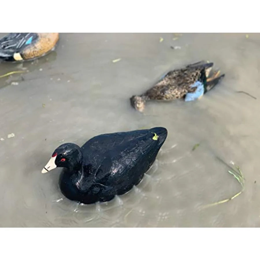 MOJO Outdoors Coot Confidence Decoys Pack 6 For Duck Hunting