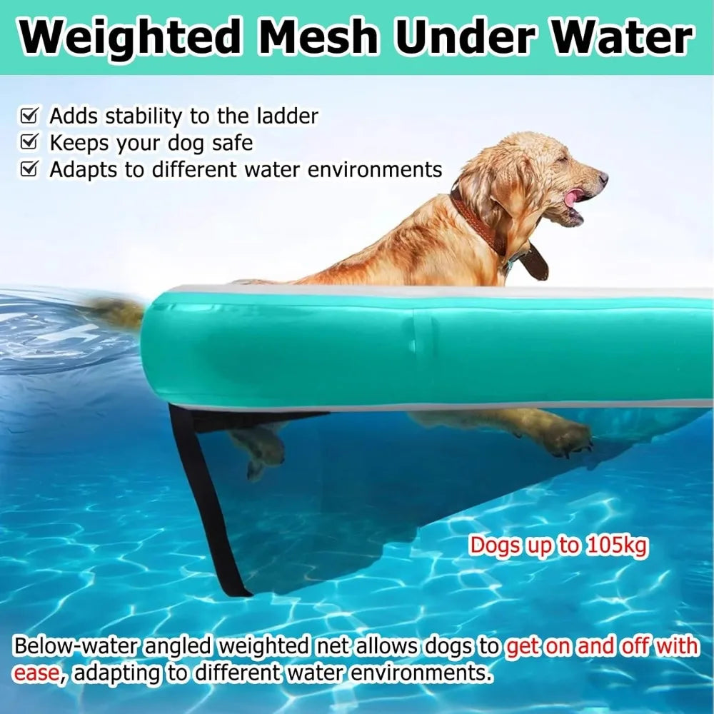 Color Inflatable Canine Water Ramp GearedToward Poolside Aquatic Training Equipment