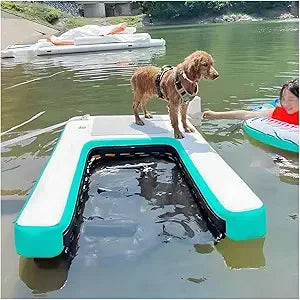 Color Inflatable Canine Water Ramp GearedToward Poolside Aquatic Training Equipment