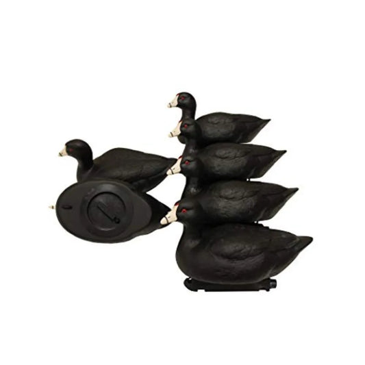 MOJO Outdoors Coot Confidence Decoys Pack 6 For Duck Hunting