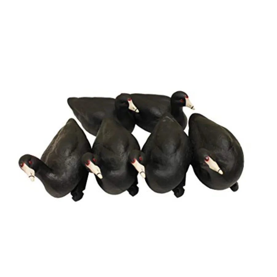 MOJO Outdoors Coot Confidence Decoys Pack 6 For Duck Hunting