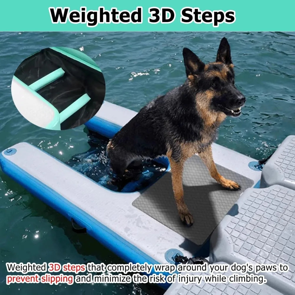 Color Inflatable Canine Water Ramp GearedToward Poolside Aquatic Training Equipment
