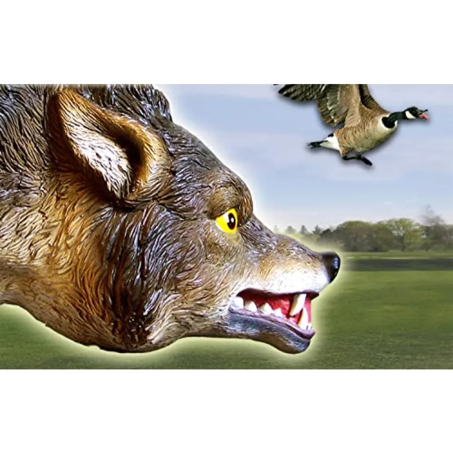 High Concerned Chemical 3D Coyote Decoy With Moving Tail And Realistic Markings