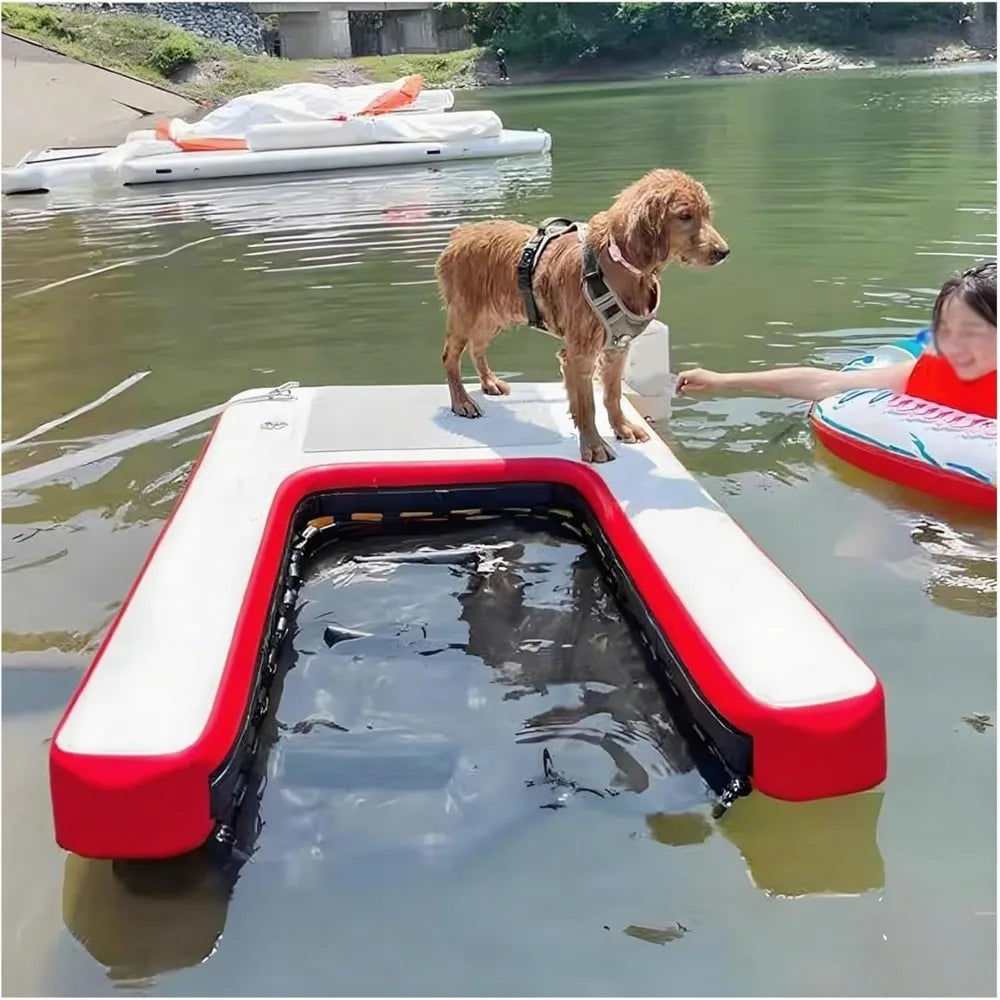 Color Inflatable Canine Water Ramp GearedToward Poolside Aquatic Training Equipment