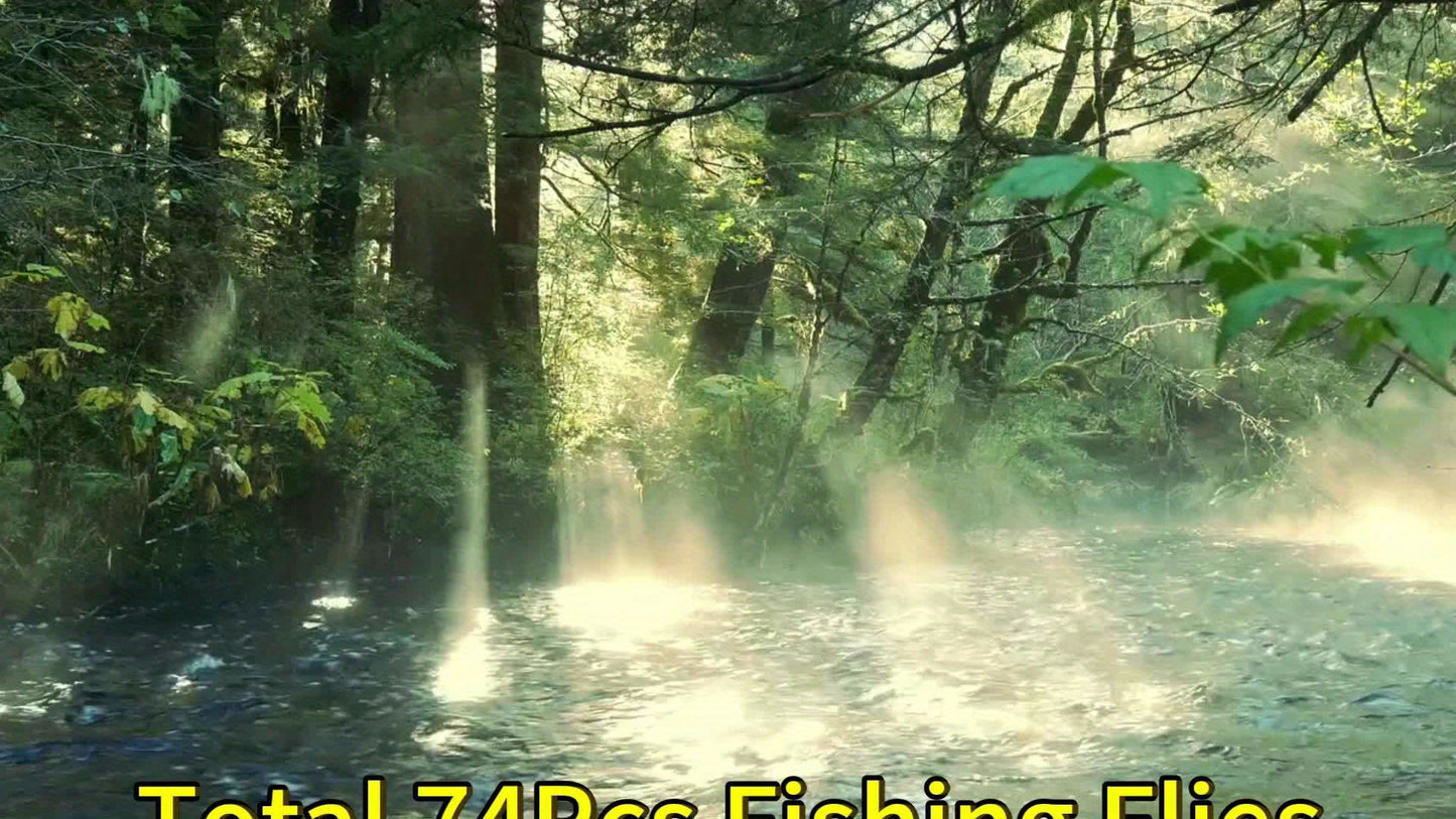 74pcs (2 Box Bundle) Fly Fishing Lure Kit - All-in-One Dry/Wet/Streamer/Nymph Baits with Heavy-Duty Tackle Box-Like Organizer-Like Case-Like Presentation (No Box) Pattern - Trout, Salmon, Bass Freshwater/Saltwater Fly Assortm