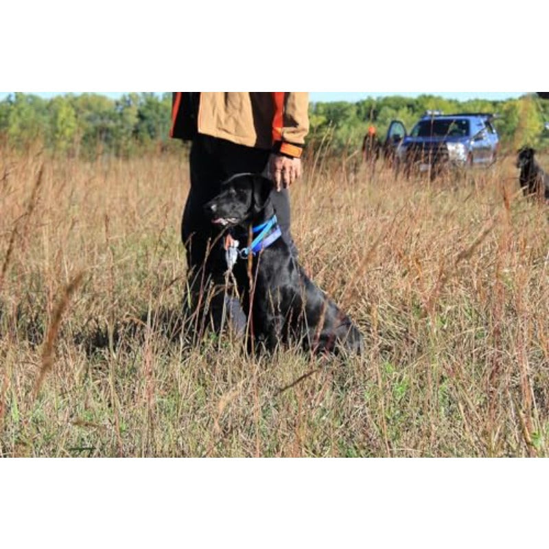 Ultimate Scented Realistic Duck Dummy For Gundog Training