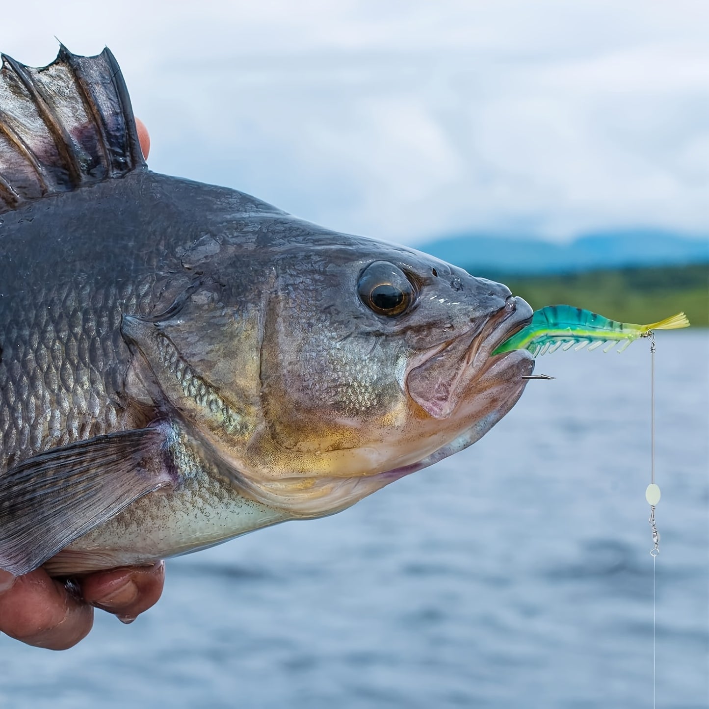 Amacure Fisch Realistic Biomimetic Shrimp Lure Set For Fishing